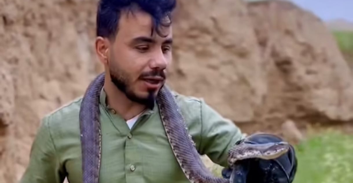 Iraqi hunter snags rare copper-black serpent
