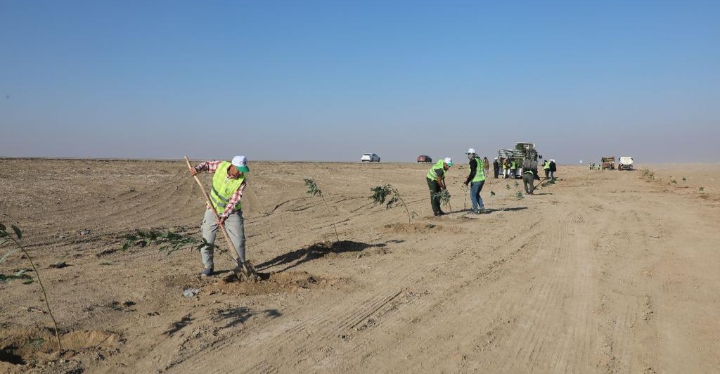 Fading green: Iraq's battle against barrenness
