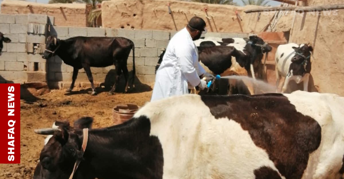 Health alerts in Iraq: First fatal Crimean-Congo Fever case