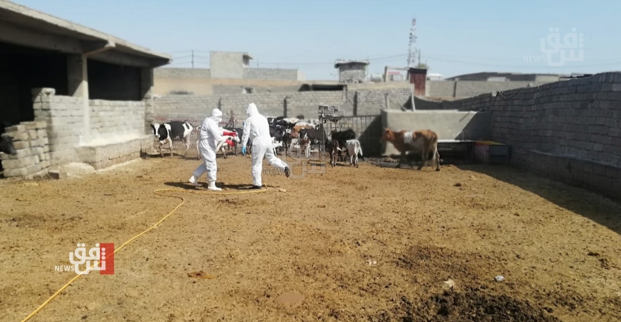 العراق يسجل 5 إصابات جديدة بـ "الحمى النزفية"