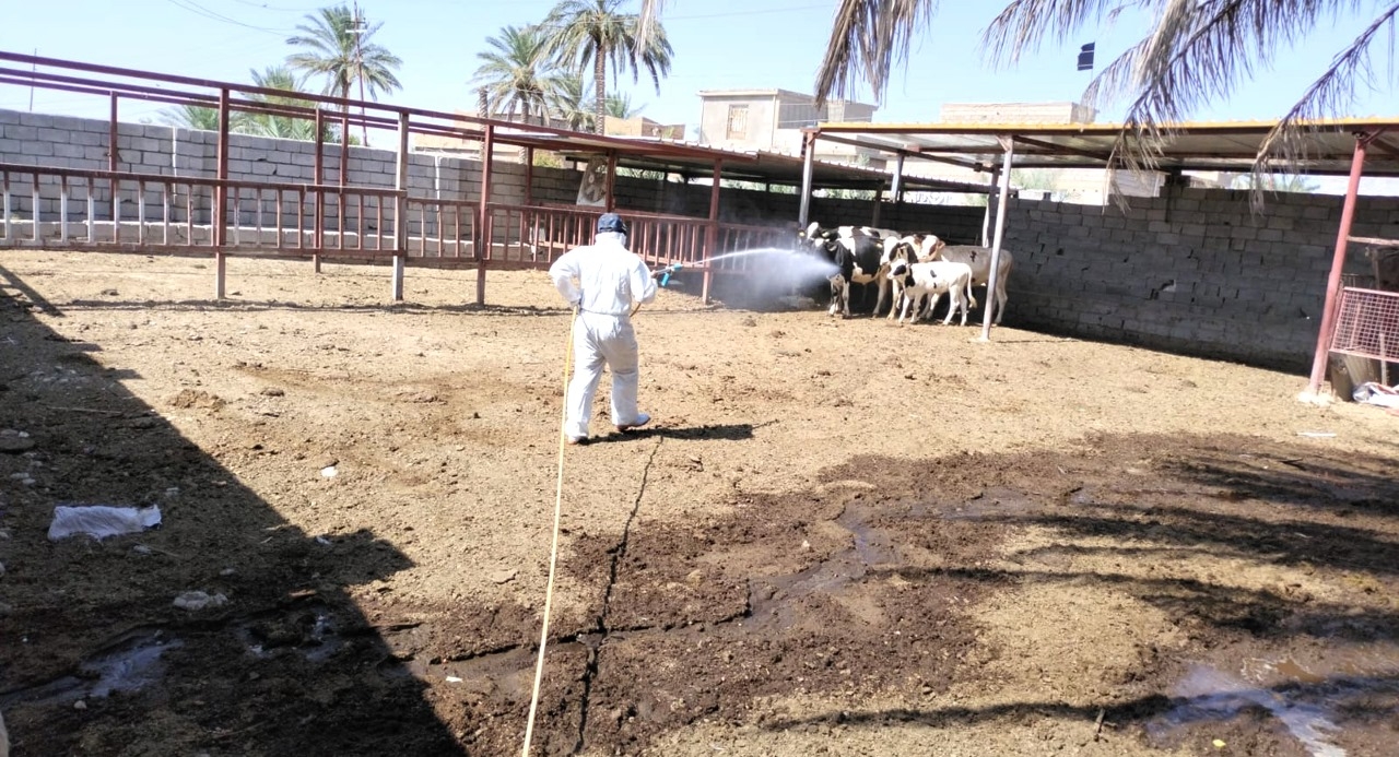 Iraq's Kirkuk health: CCHF outbreak still active