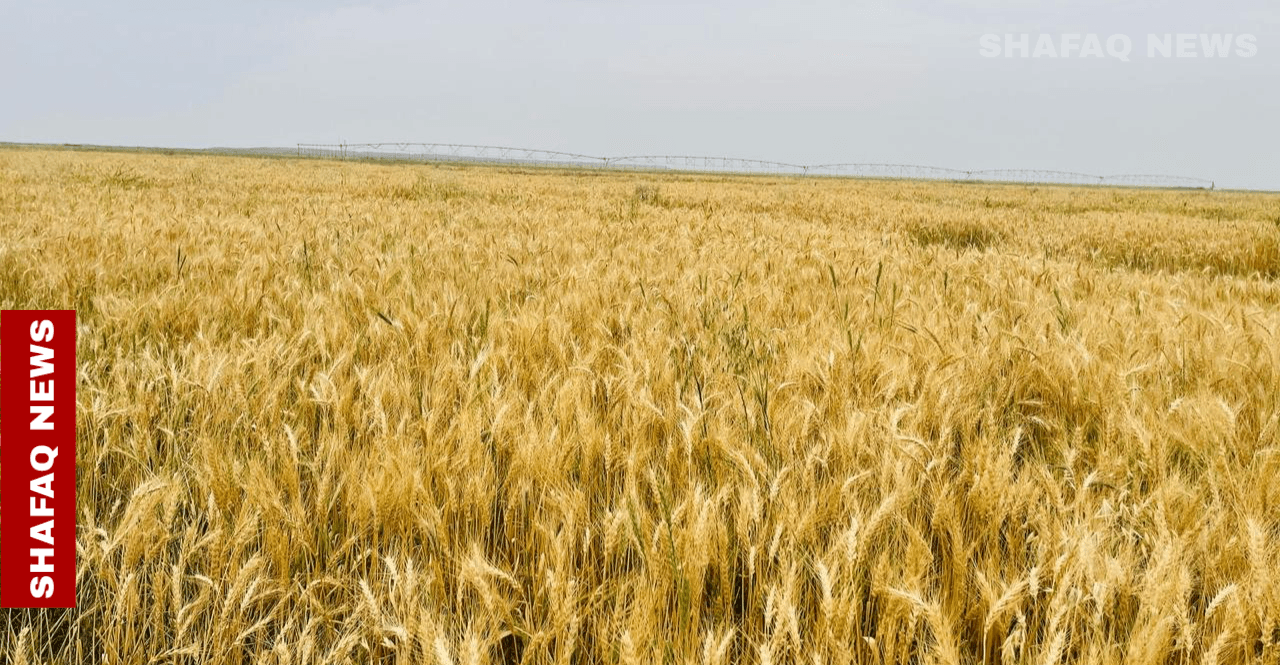 Deepening ties: Iraqi wheat shipment to help stabilize Syria