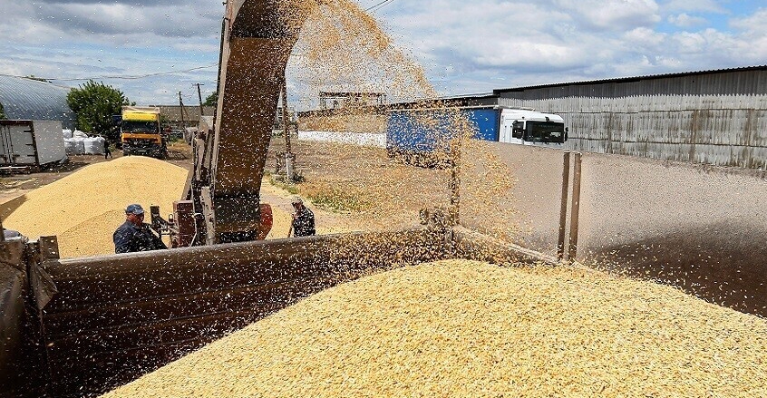 Syria confirms continued arrival of Iraqi wheat donations