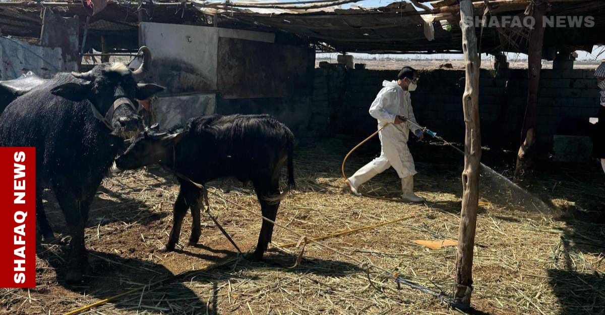 الحمى النزفية تواصل "تصيد" ضحاياها في الموصل