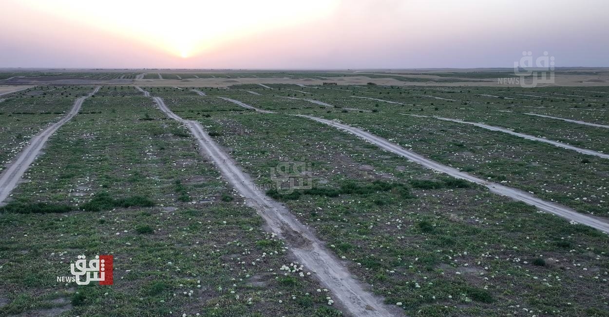 Iraq adopts emergency irrigation measures amid record water shortage