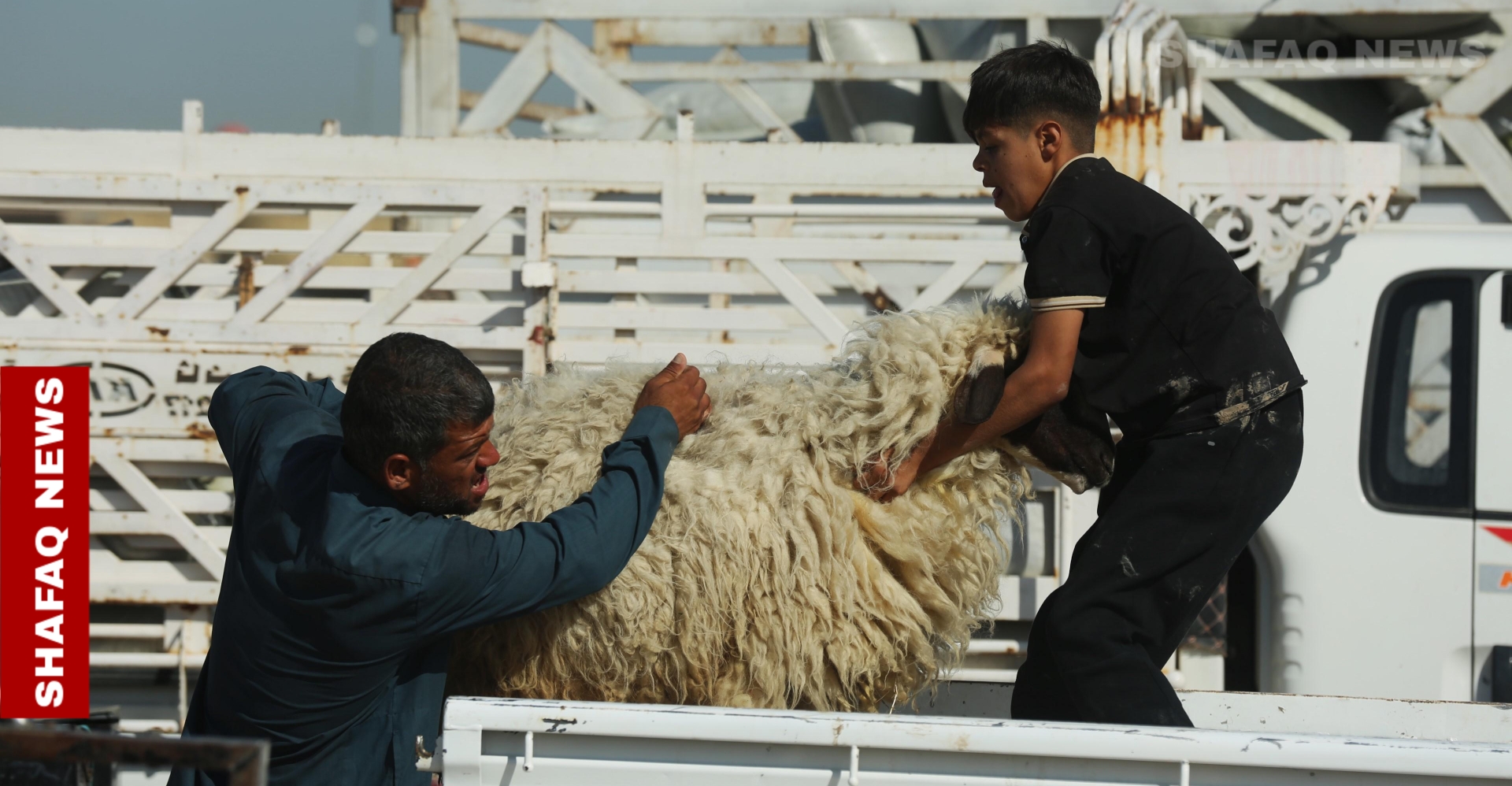 Kirkuk bans public Eid slaughter amid CCHF concerns