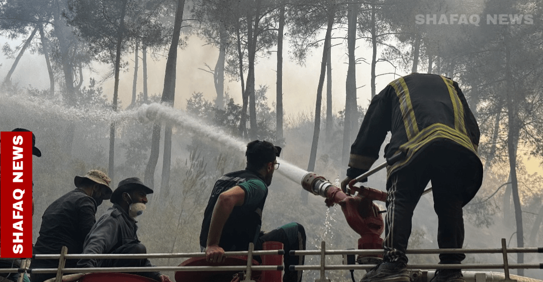 After 12 days: Syria contained Latakia wildfires