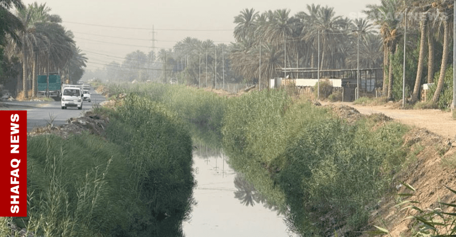 "المجرية" تنتعش بعد غضب شعبي في بابل.. صور