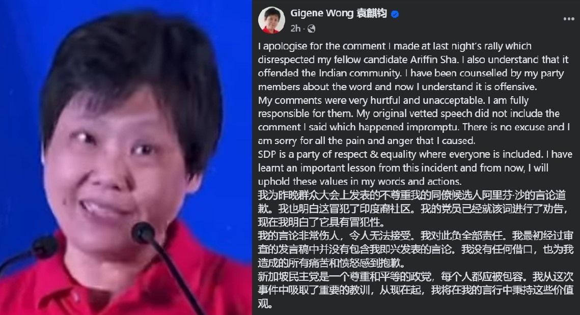 Gigene Wong apologises for using racial slur against own teammate, says SDP counselled her