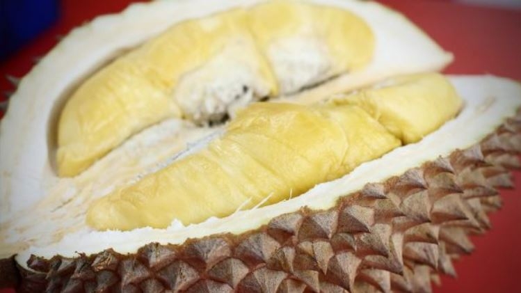 Chinese tourist gets charged S$200 cleaning fee for bringing durian into hotel, warns others