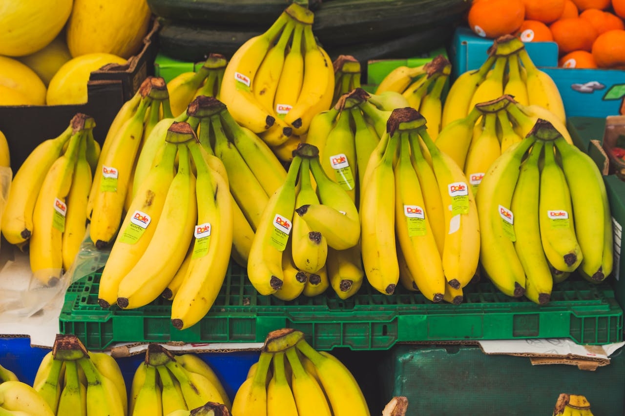 Bananas could go extinct as climate crisis puts world's favourite fruit at risk, study warns