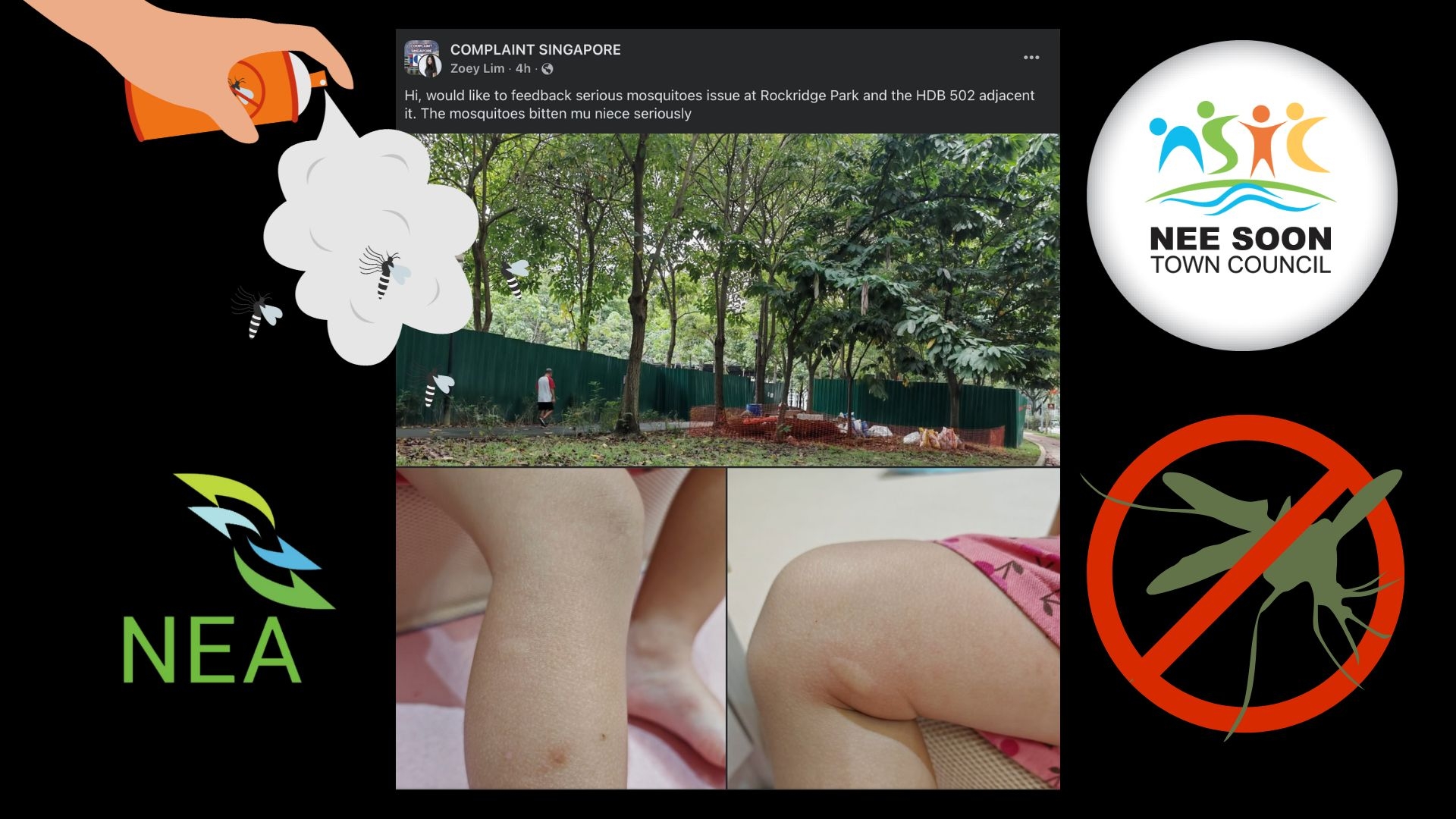'Bitten and scarred': Facebook user flags severe mosquito problem at Rockridge Park, Yishun
