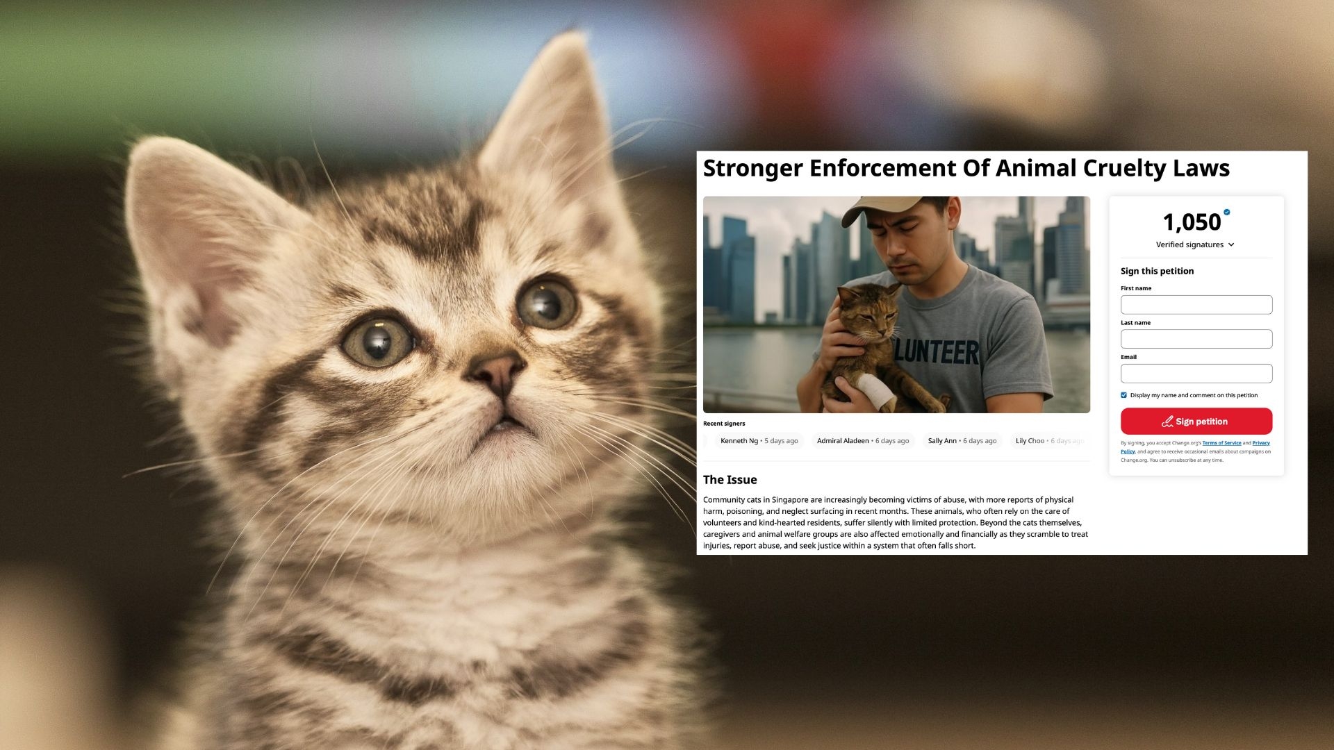 A nation's silent victims: Rise in animal abuse cases sparks petition for urgent reform in Singapore