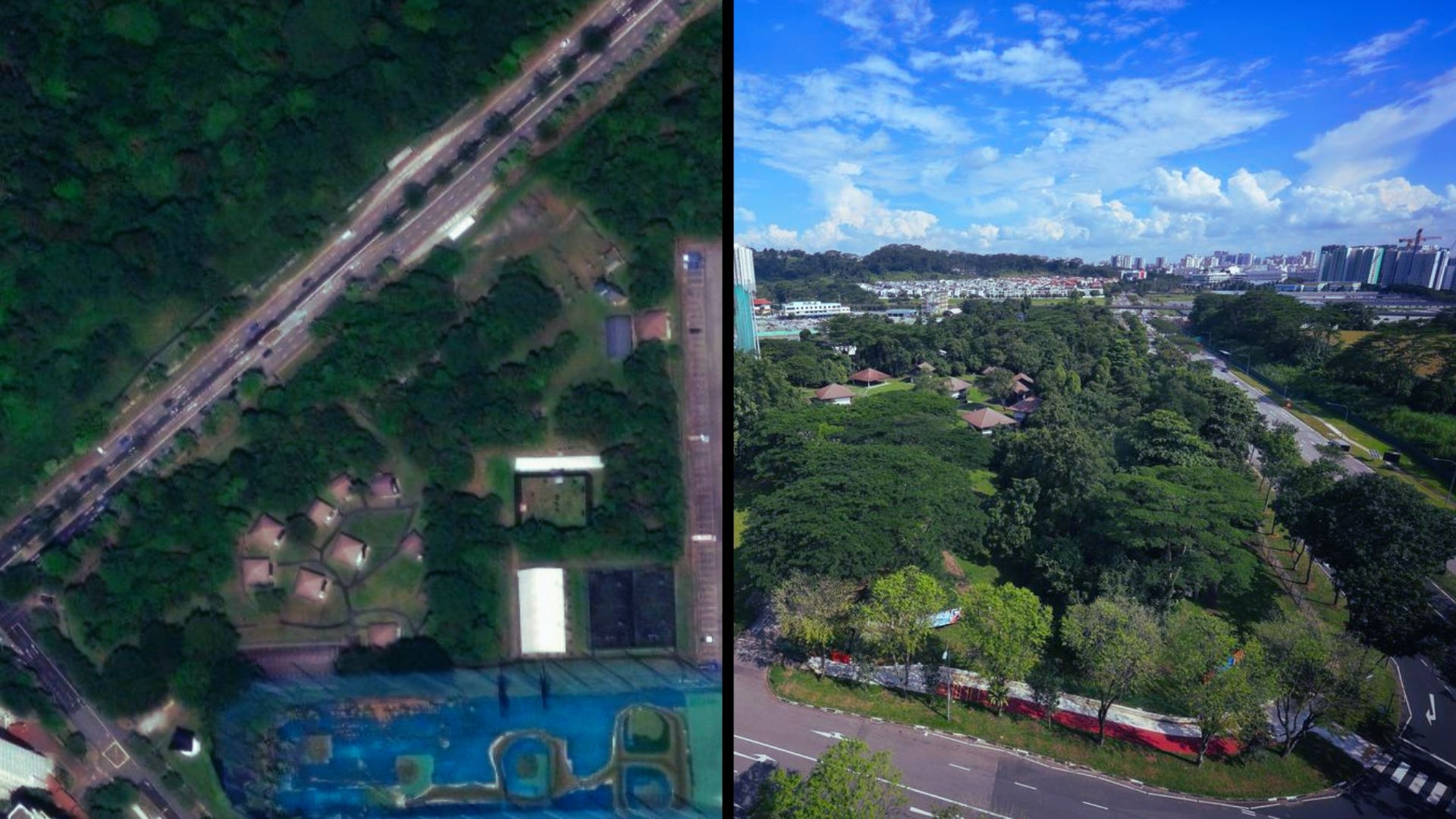 'Death by a thousand cuts': Bukit Batok forest faces imminent axe despite wildlife warnings and public outcry