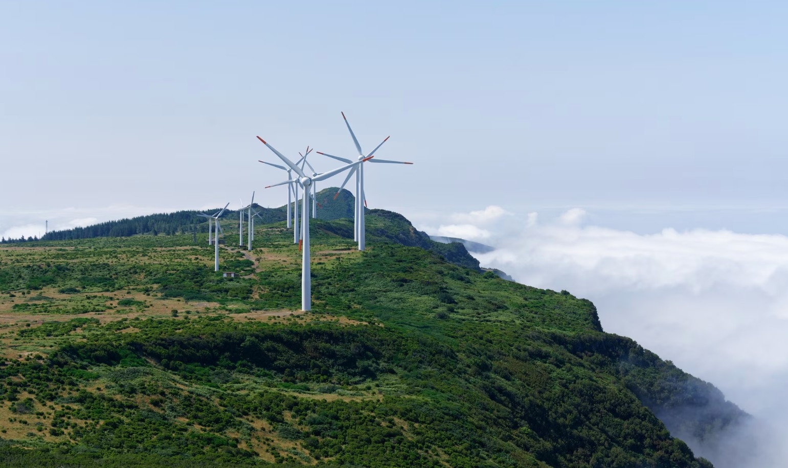Energy Asia 2025: Can the region's leaders deliver on net-zero promises?
