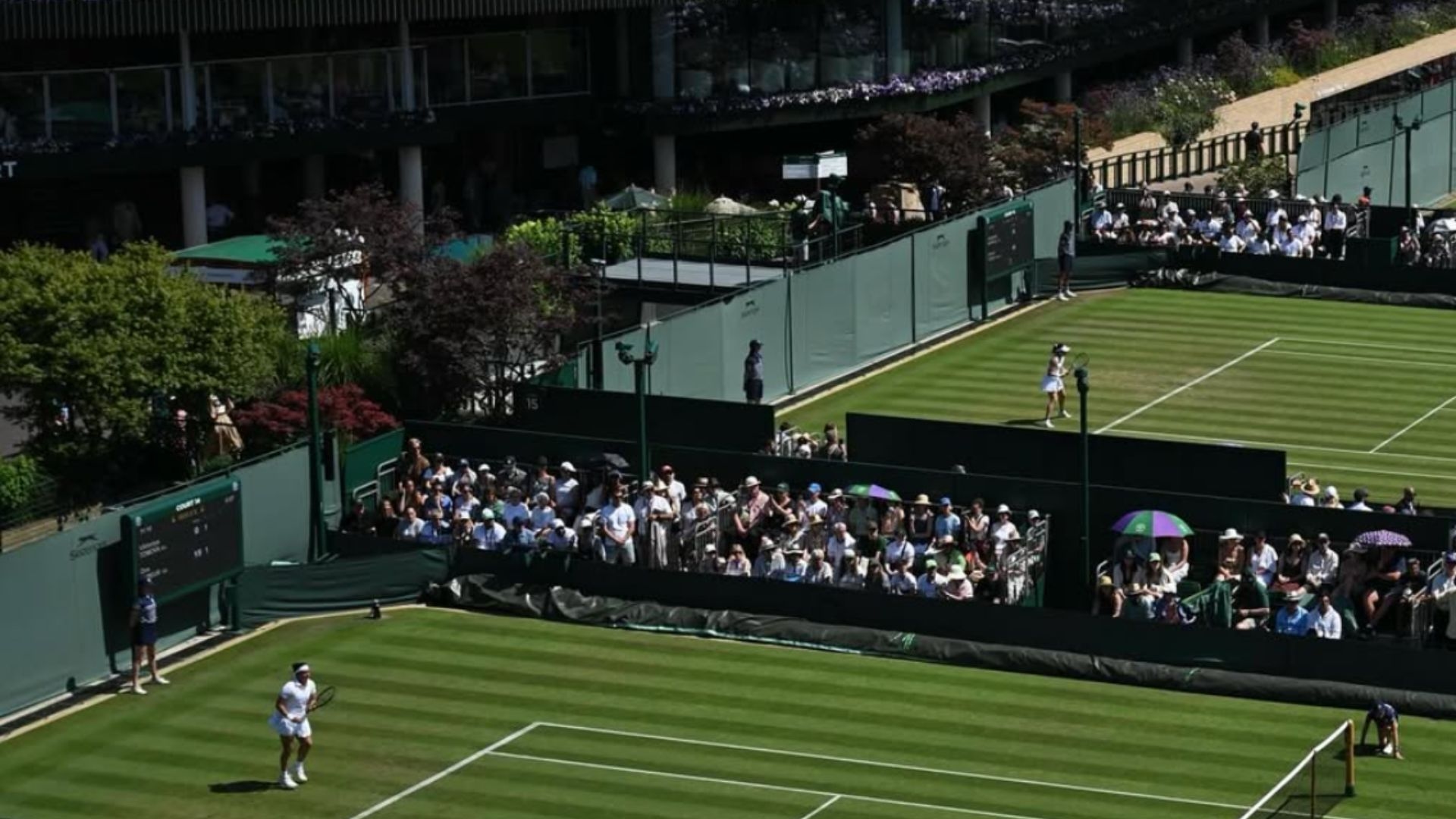 Wimbledon introduces new heat rule as temperatures hit record high