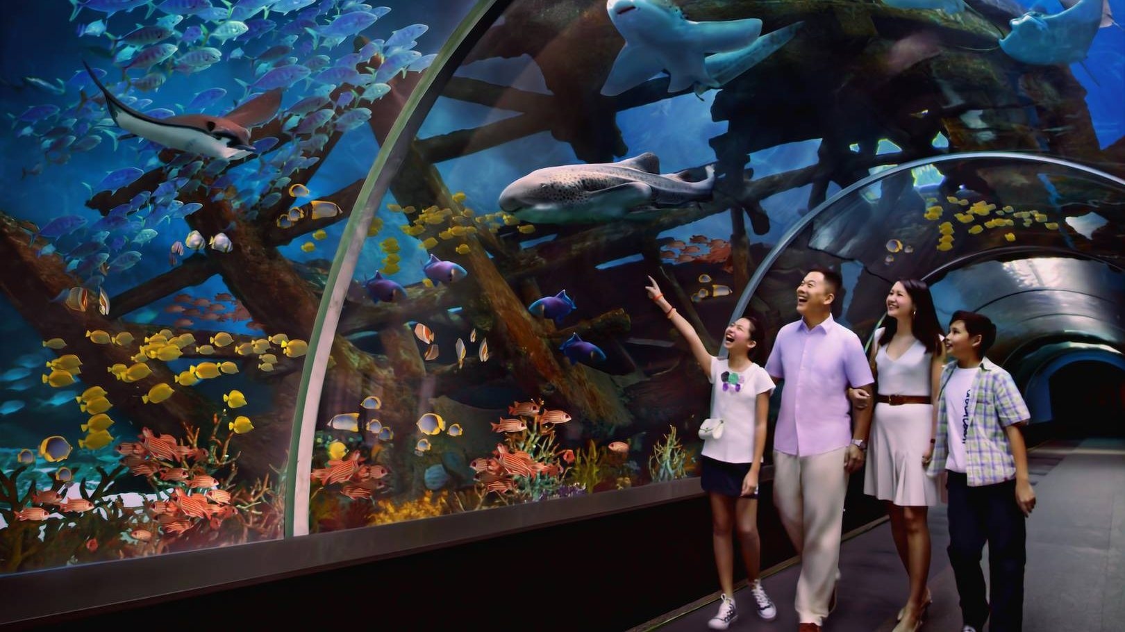 'Can wonder spark change?' Singapore's revamped Oceanarium bets on storytelling to save the sea
