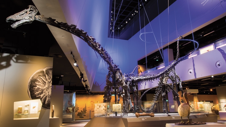 Heard of them? These are Asia's most underrated museums