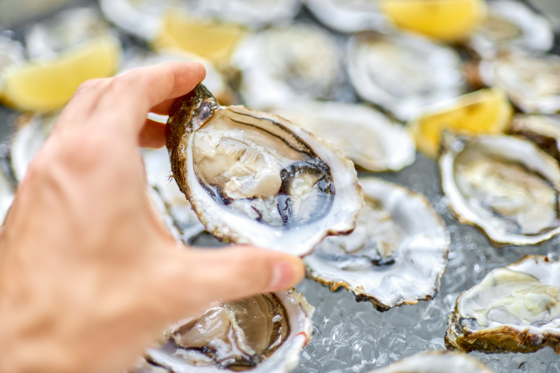 What happens to your used oyster shells after that decadent meal?