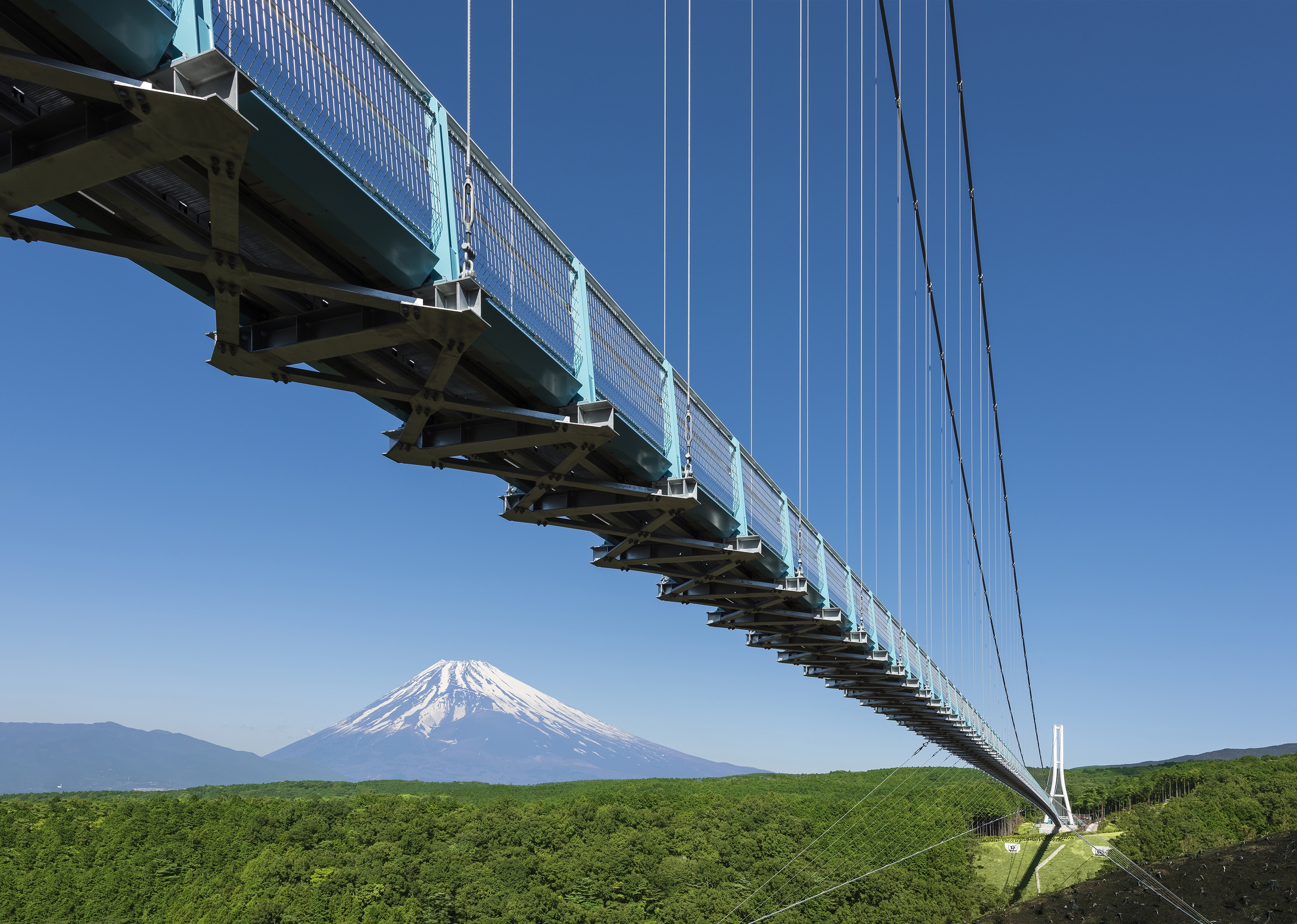 Catch 13,000 hydrangeas in bloom around Japan's longest suspension footbridge