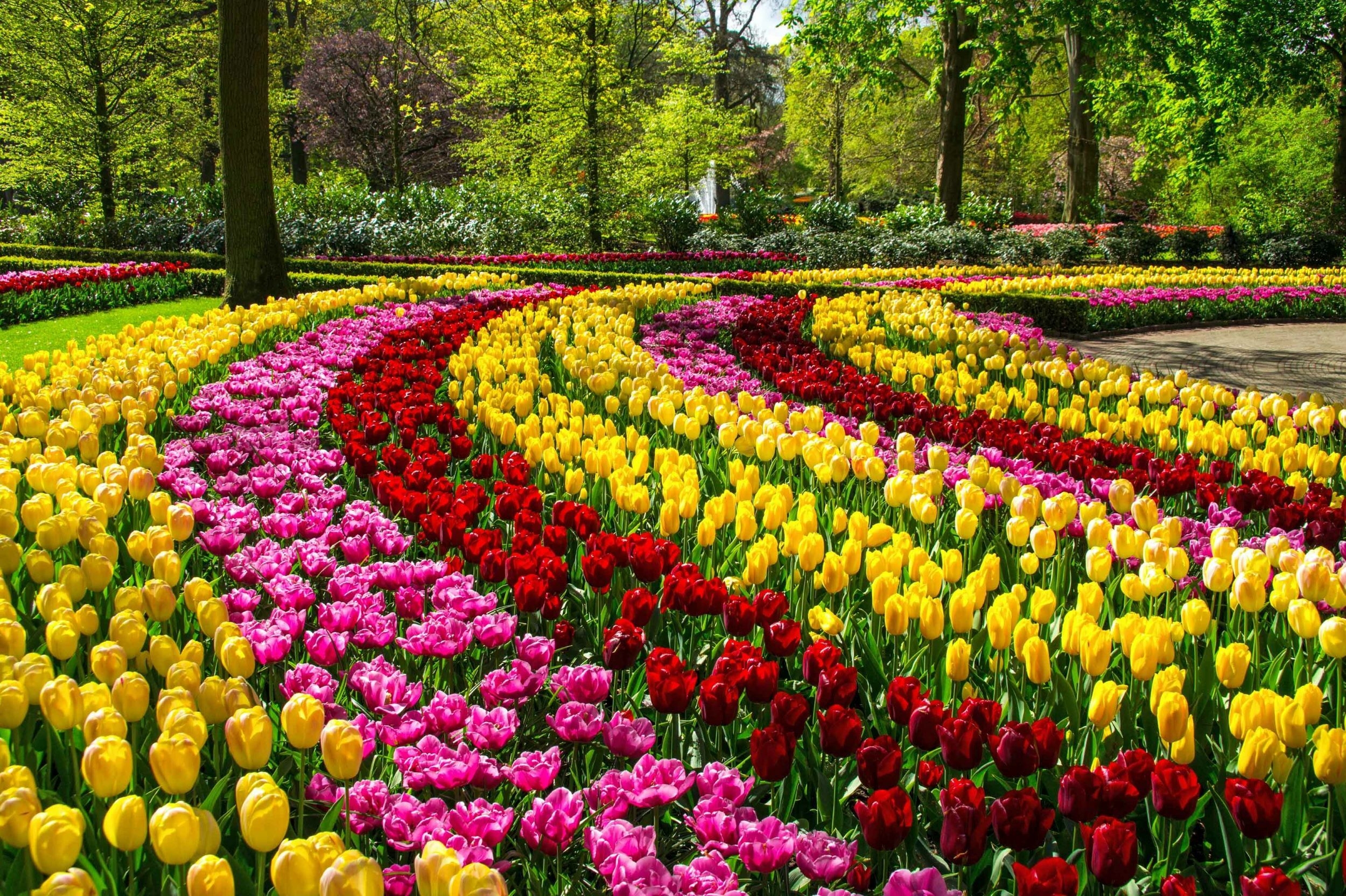 Europe's best flower festivals to visit this season