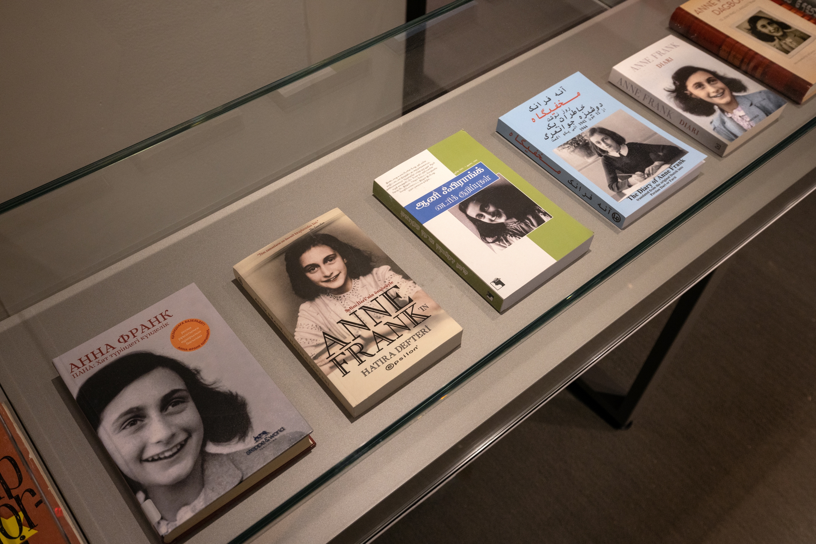 10,000 copies of Anne Frank's diary are being given away in NYC this summer