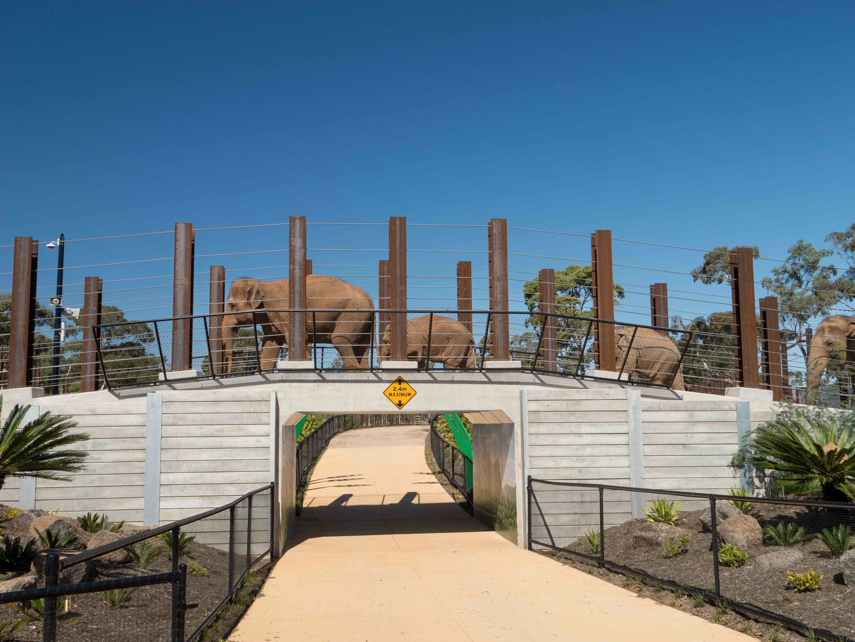 Three wildlife parks in Victoria are among the most Instagrammable in the world (outside of Africa)