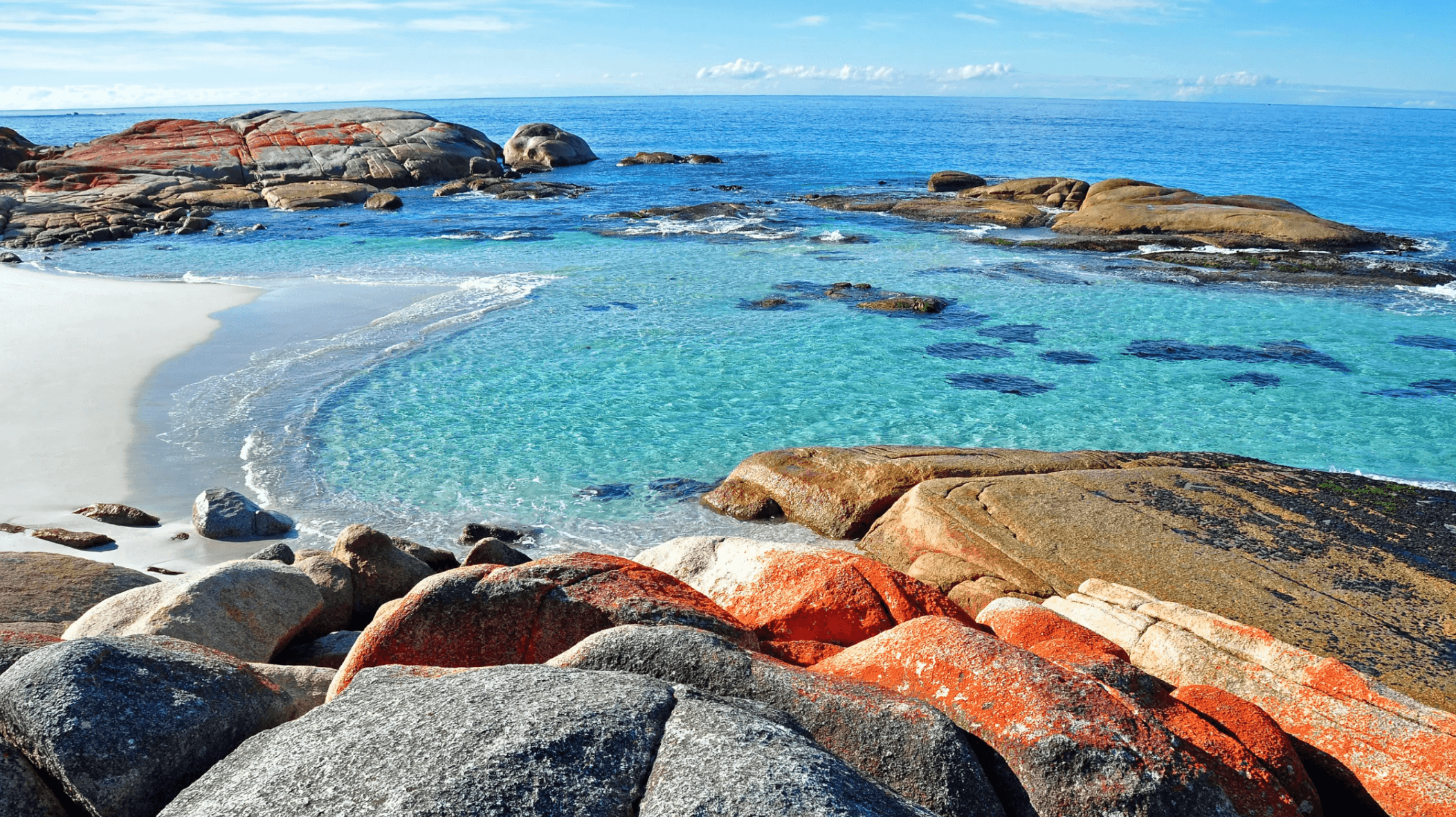 I went to Australia's best beach for 2025 – and this is what shocked me