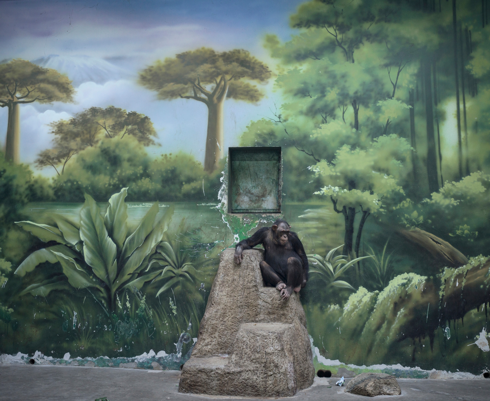 Sony World Photography Awards 2025: The winning photos