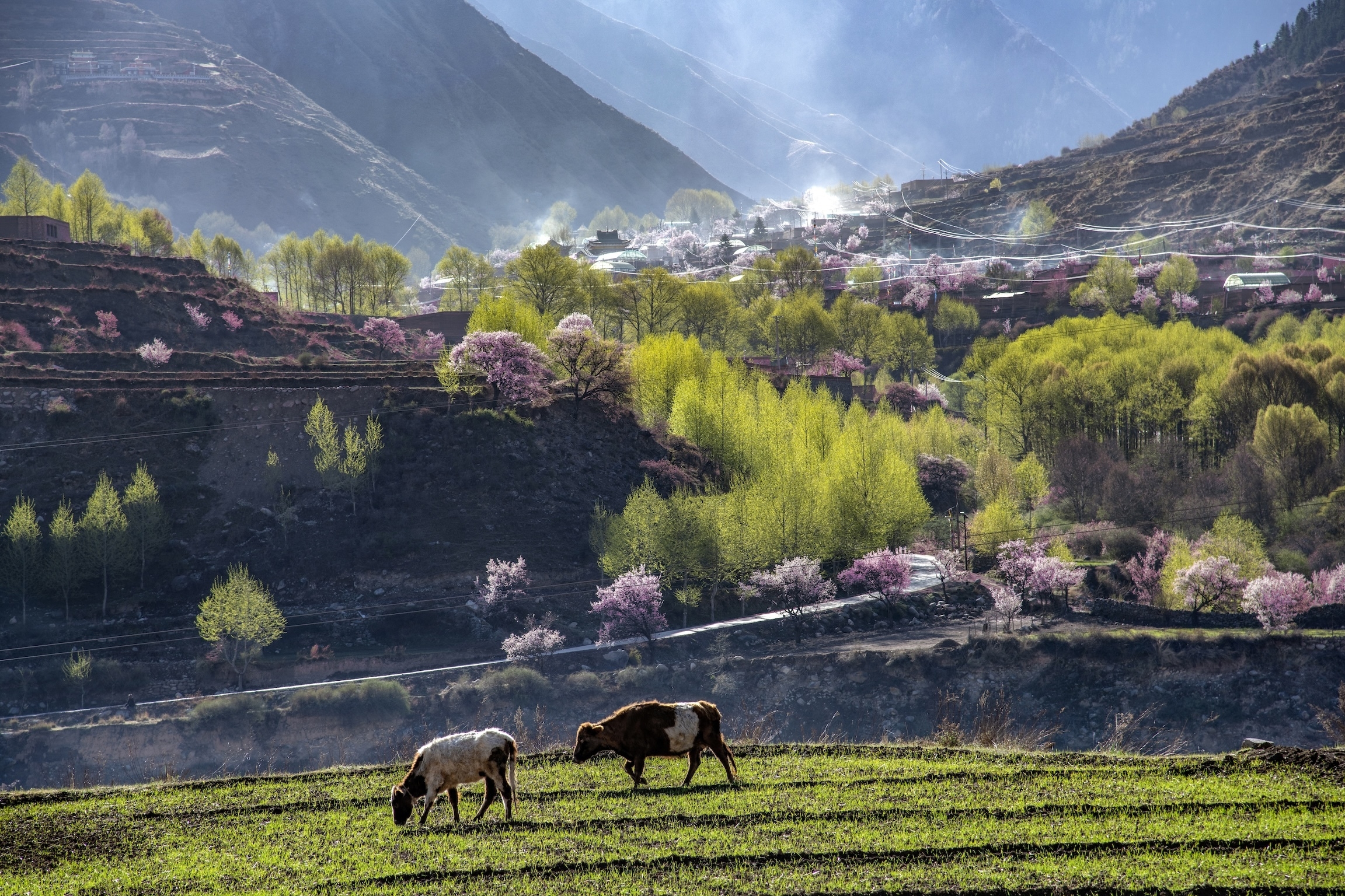 UNESCO adds 8 Asian geological wonders to its Global Geoparks Network