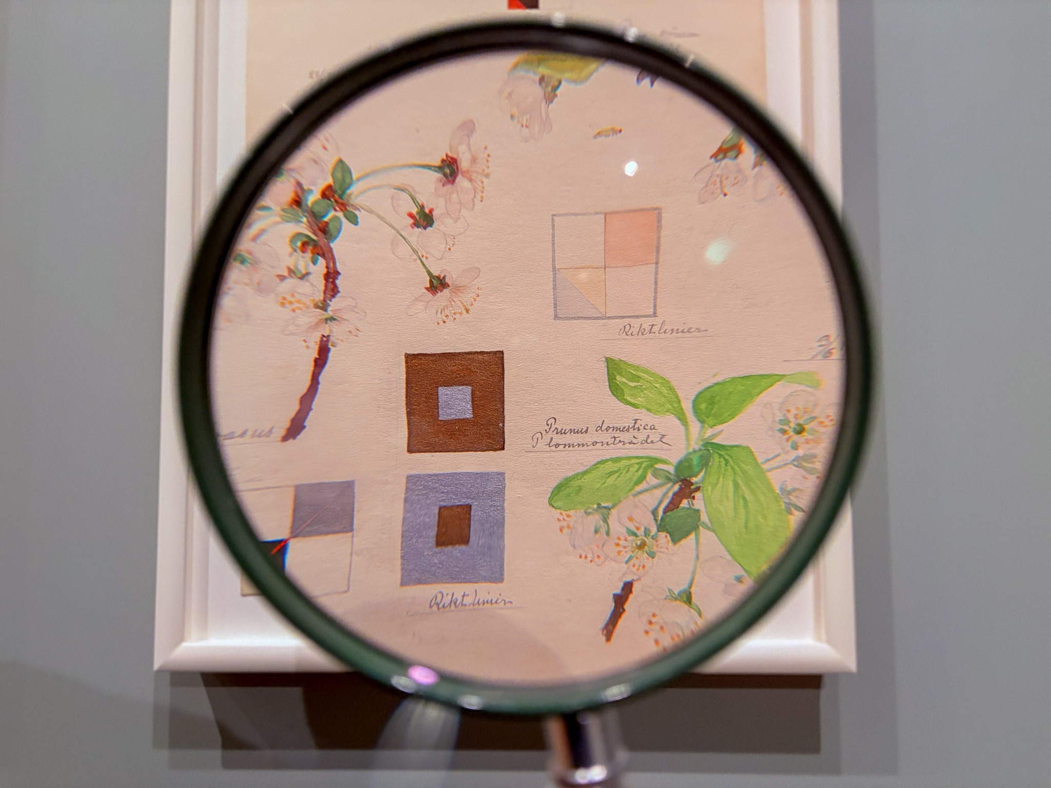 A first look at the new botanical Hilma af Klint exhibit at MoMA