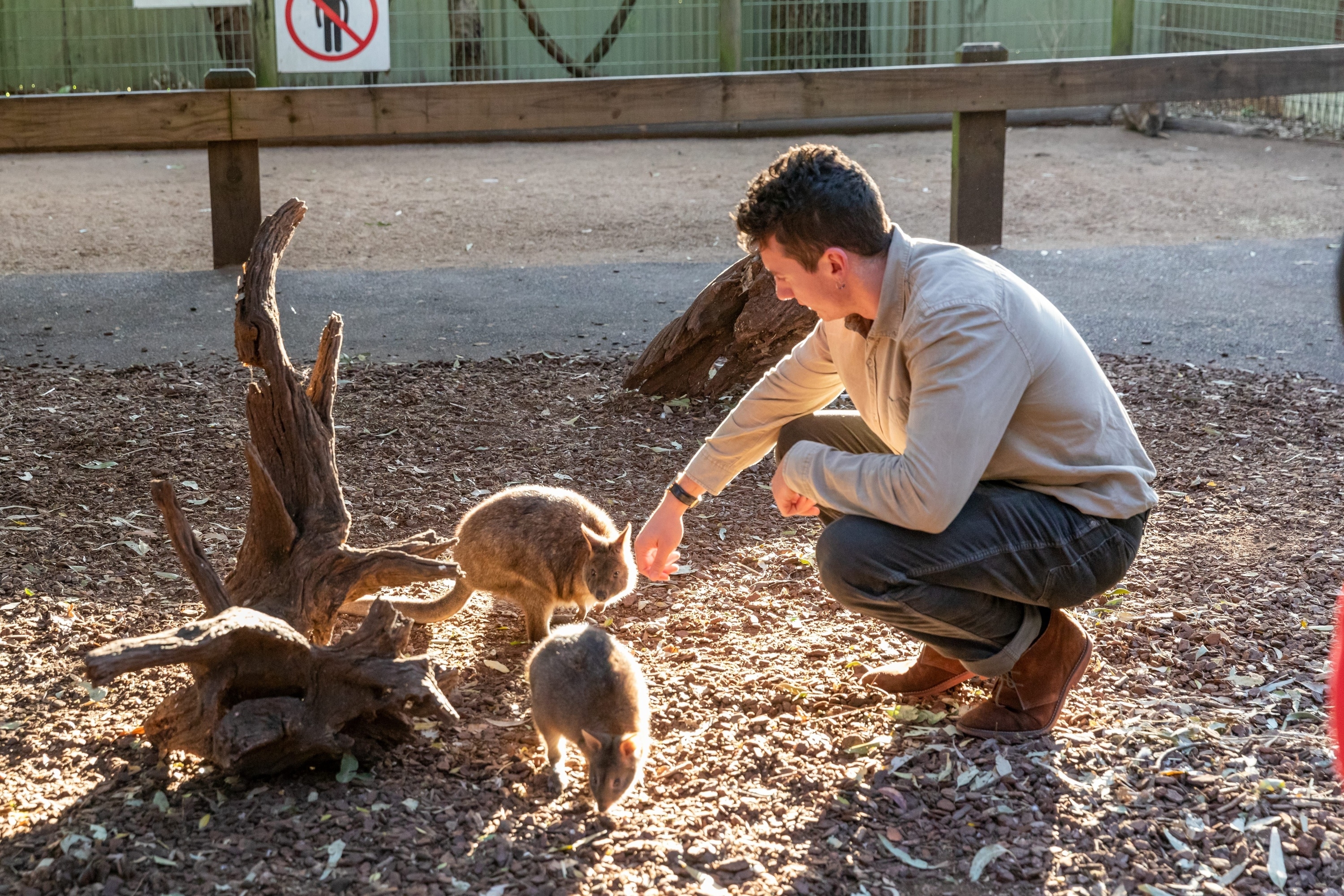 The most Instagrammed wildlife experience (outside of Africa) is right here in NSW