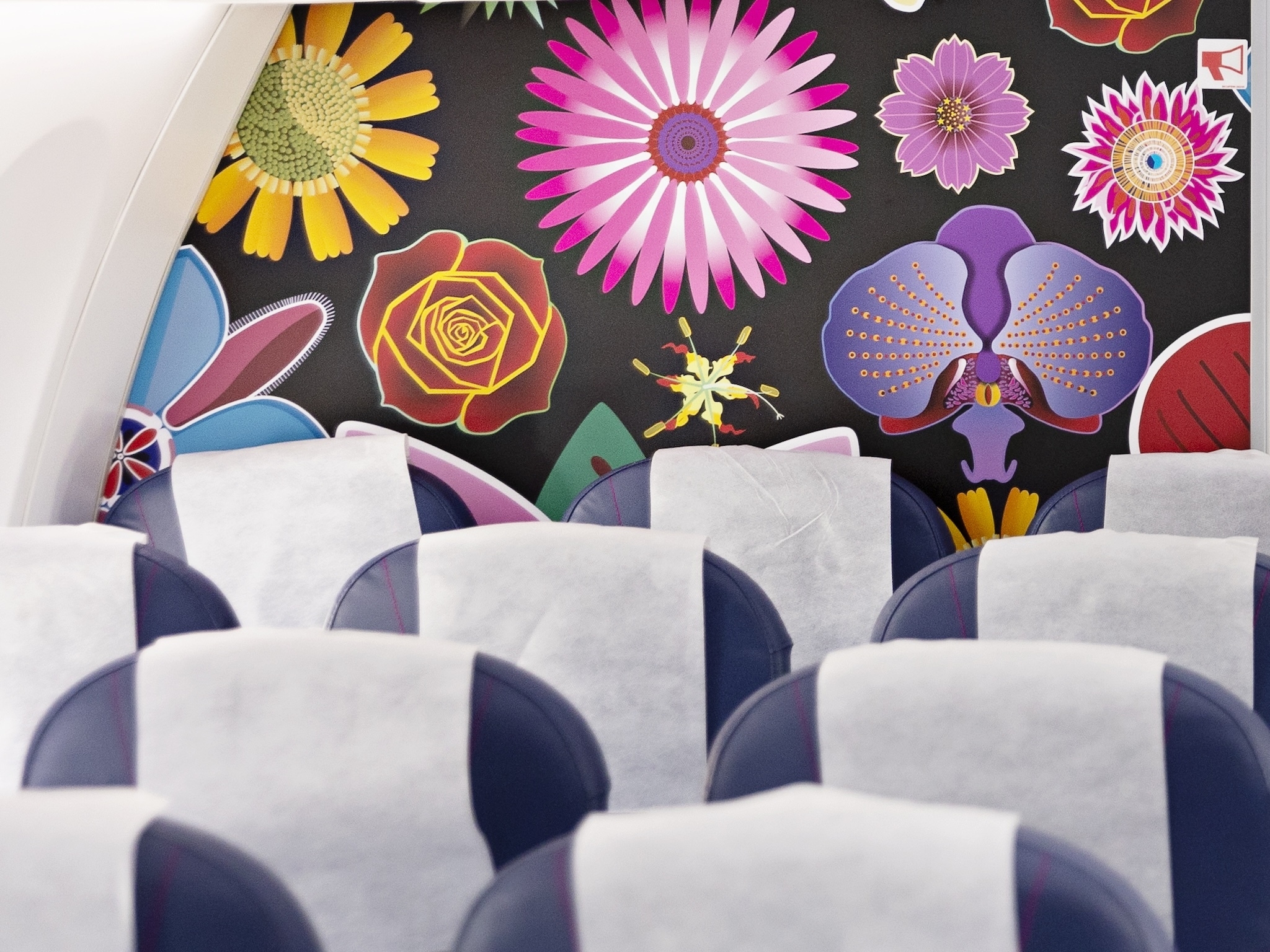 Flyers flock to FlySafair's R11 sale