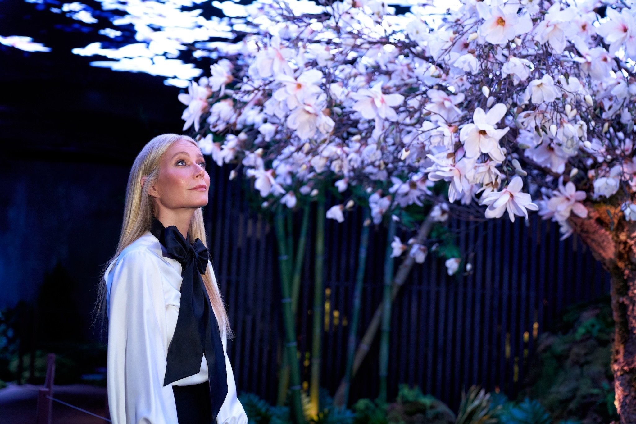 Step inside a free immersive wellness experience designed with Gwyneth Paltrow