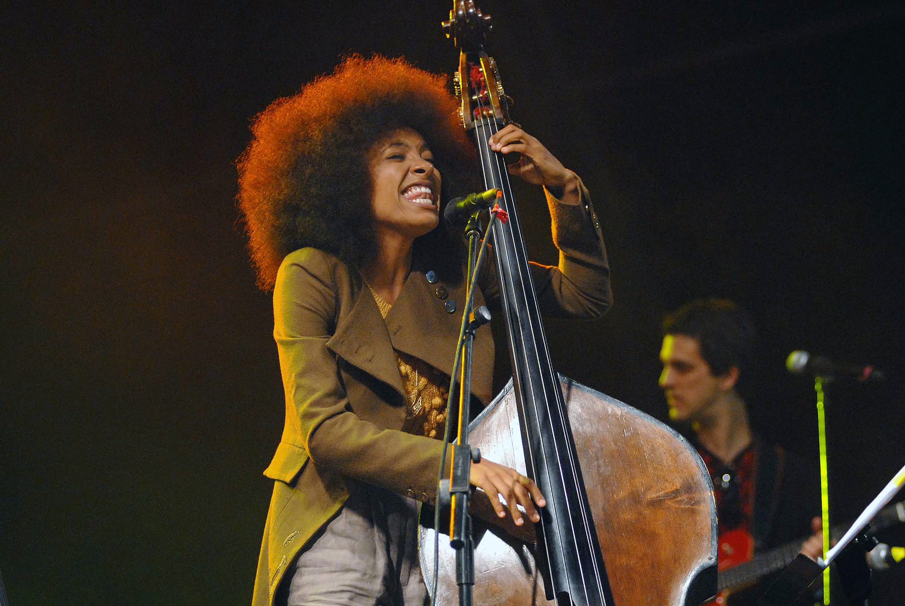 Chicago Jazz Fest announces headliners for summer 2025