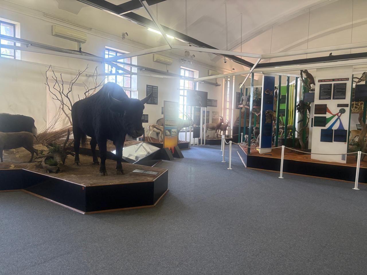 A day of discovery: Experience free museum tours on International Museum Day
