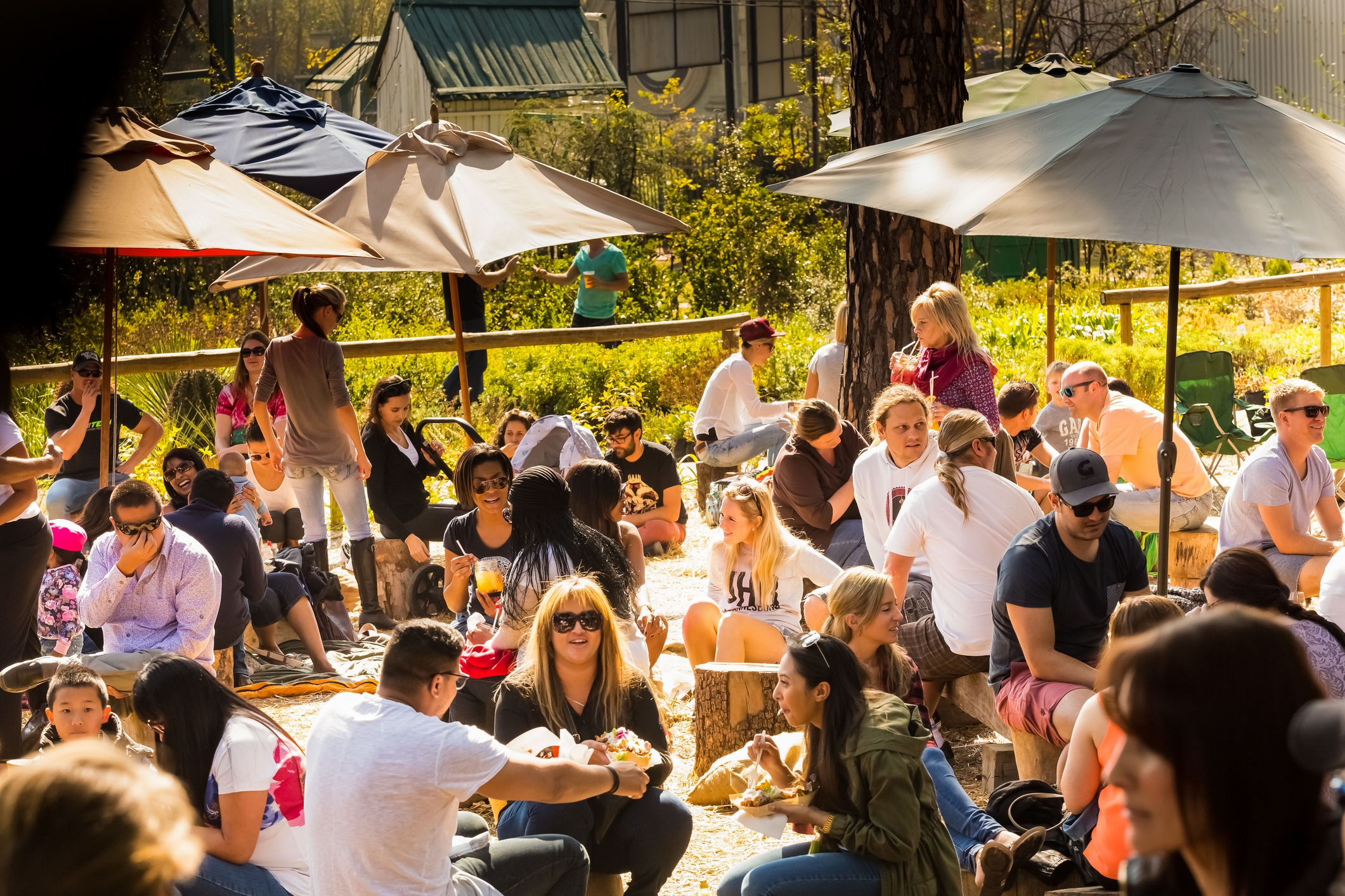 Events: What's on in Johannesburg