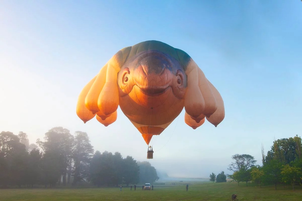 The iconic Skywhales will soar over the Gold Coast to launch the city's coolest contemporary arts festival