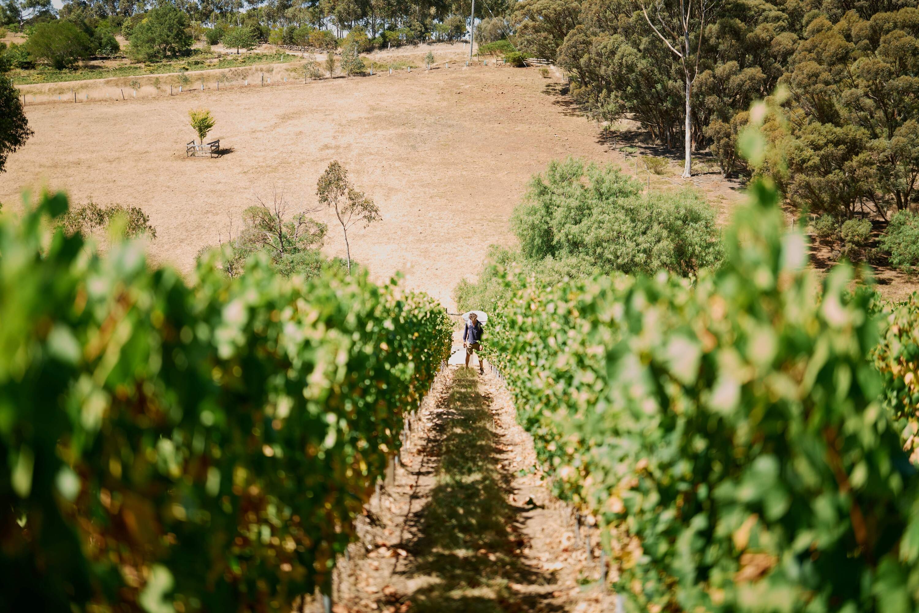 A regional Victorian producer was just crowned Australia's Winery of the Year for 2025