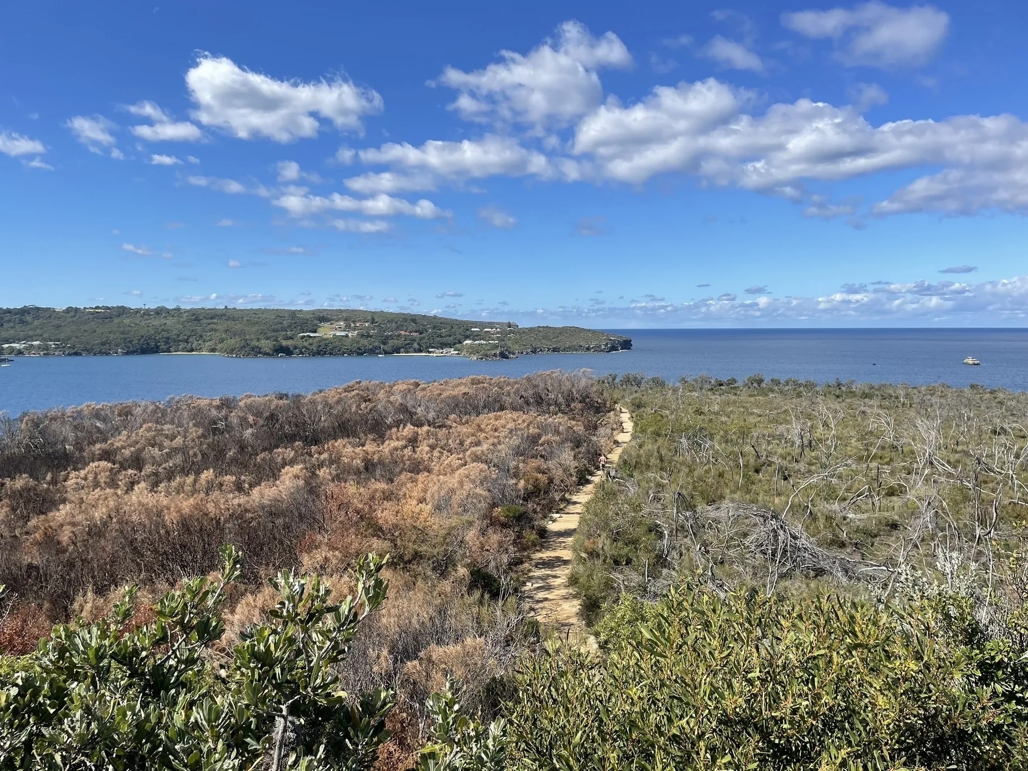 These are the top 5 winter hikes in NSW according to AllTrails