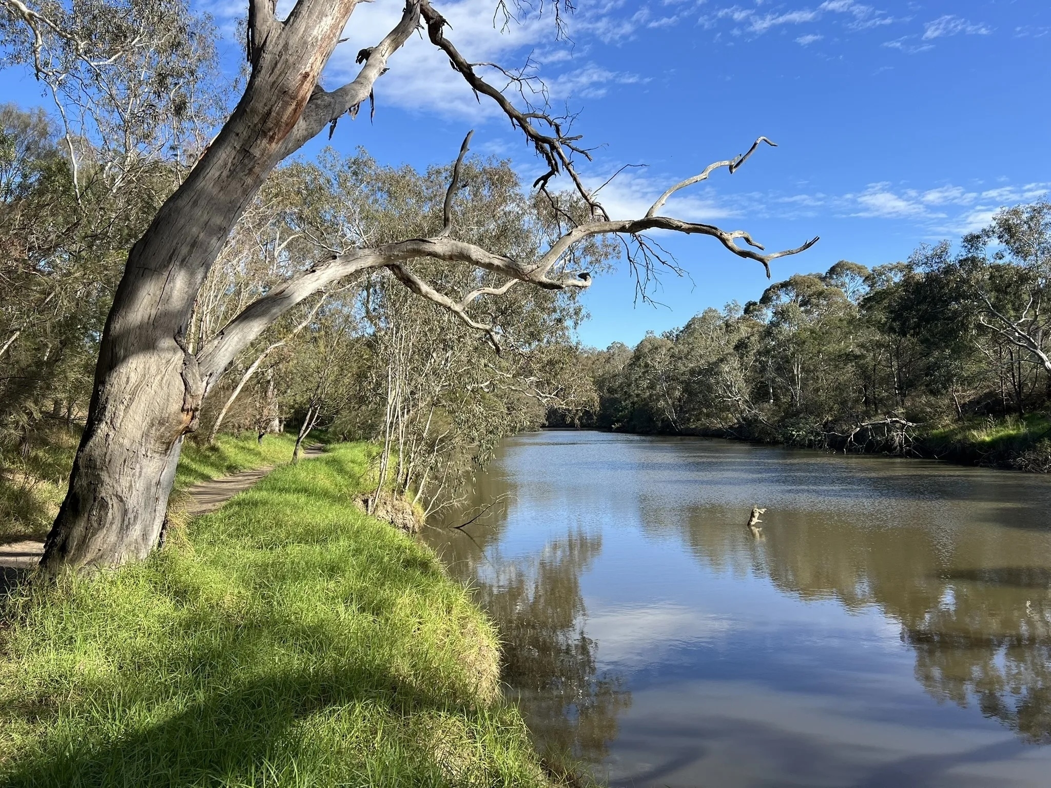Four local trails have been named among Australia's best winter hikes