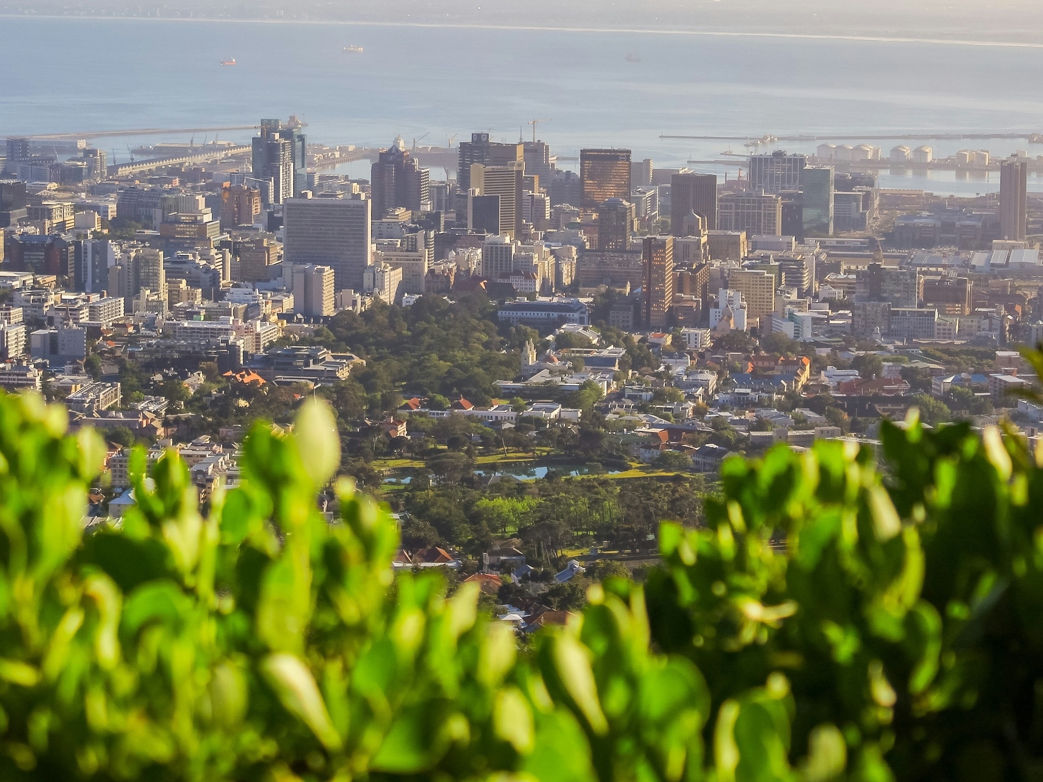 Cape Town voted among world's best for green spaces