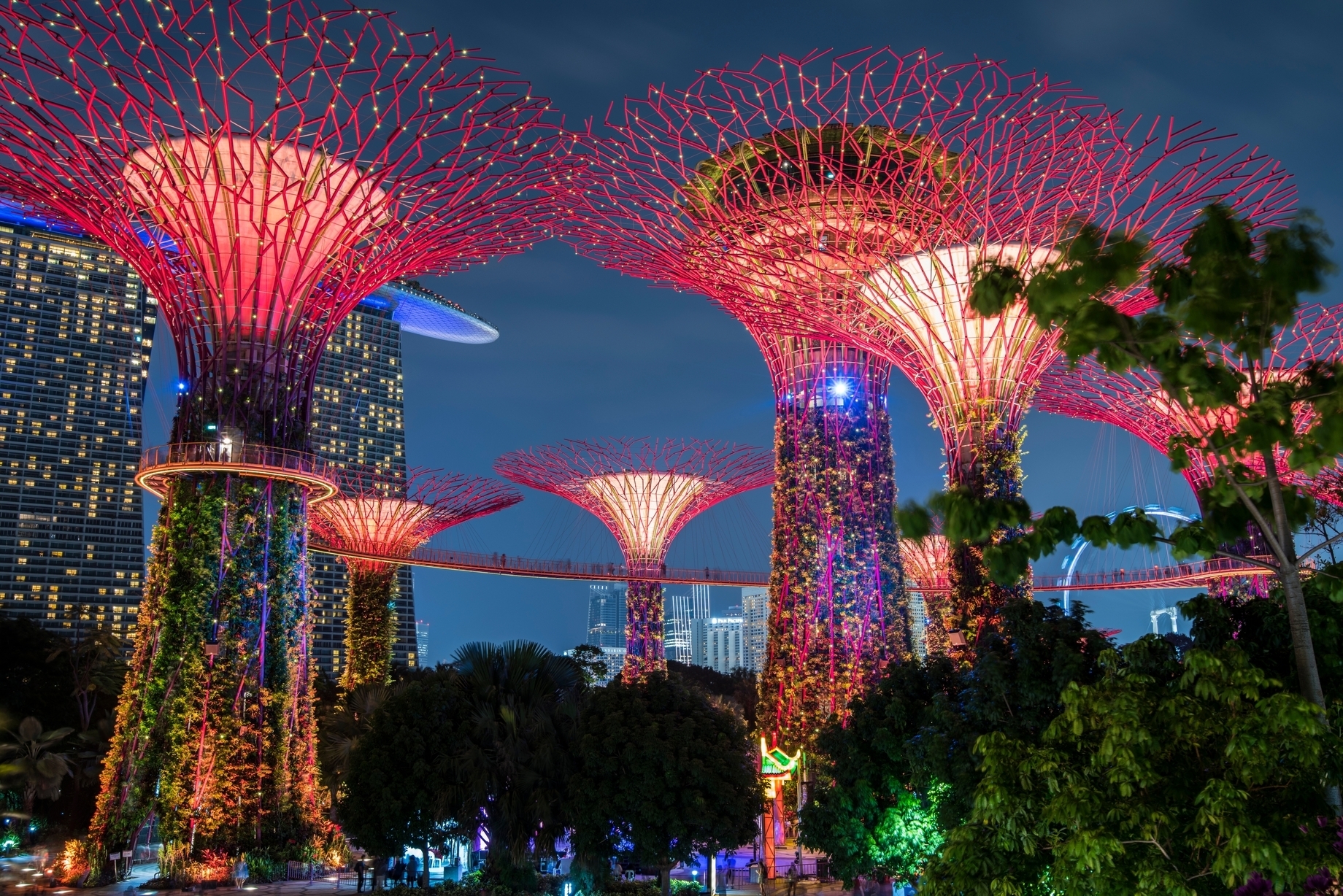 Singapore is one of Asia's top travel destinations in 2025, according to TripAdvisor