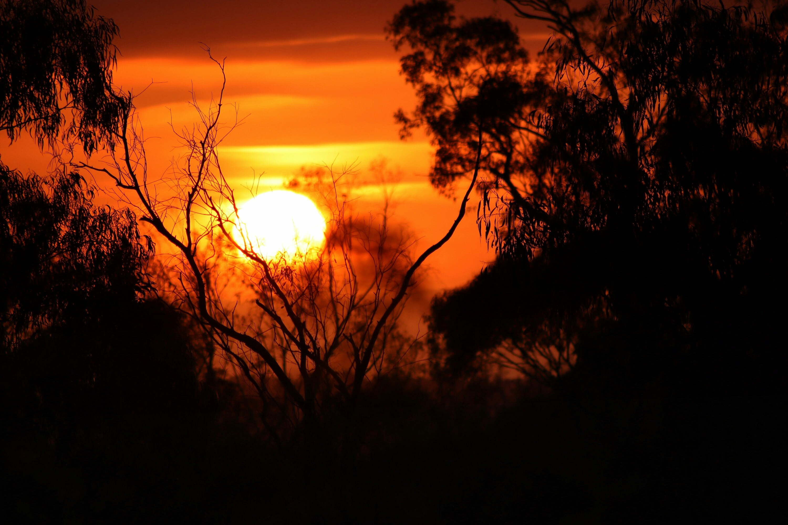 The darkest day of the year is almost here – here's your guide to the winter solstice in Australia