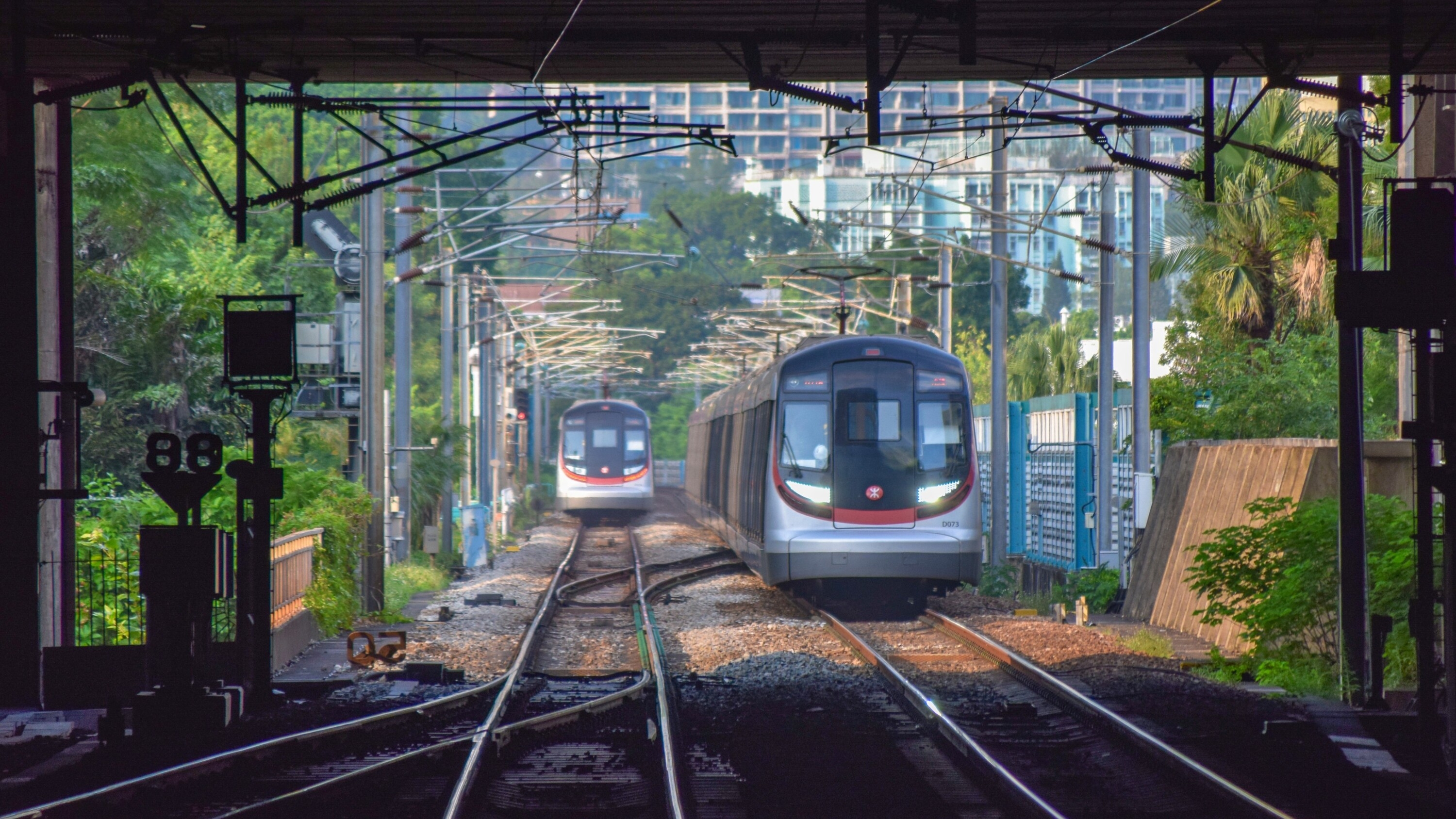 MTR will offer half-price rides for one day next month