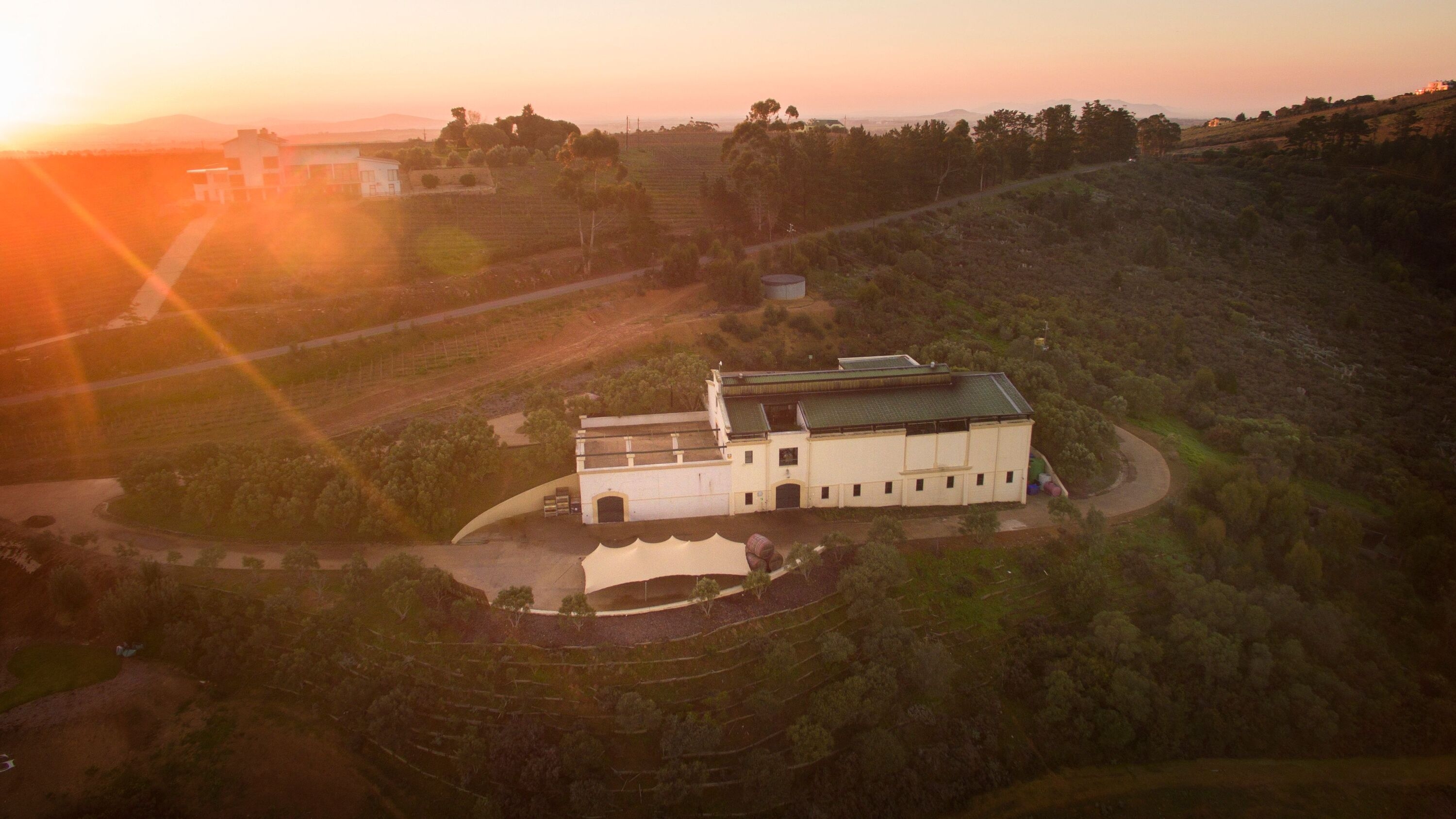 Stellenbosch wine named best in the world at International Wine Challenge