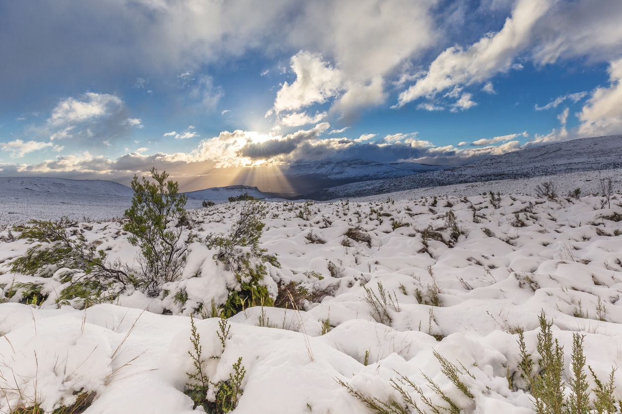 Where to snow hunt this winter near Cape Town