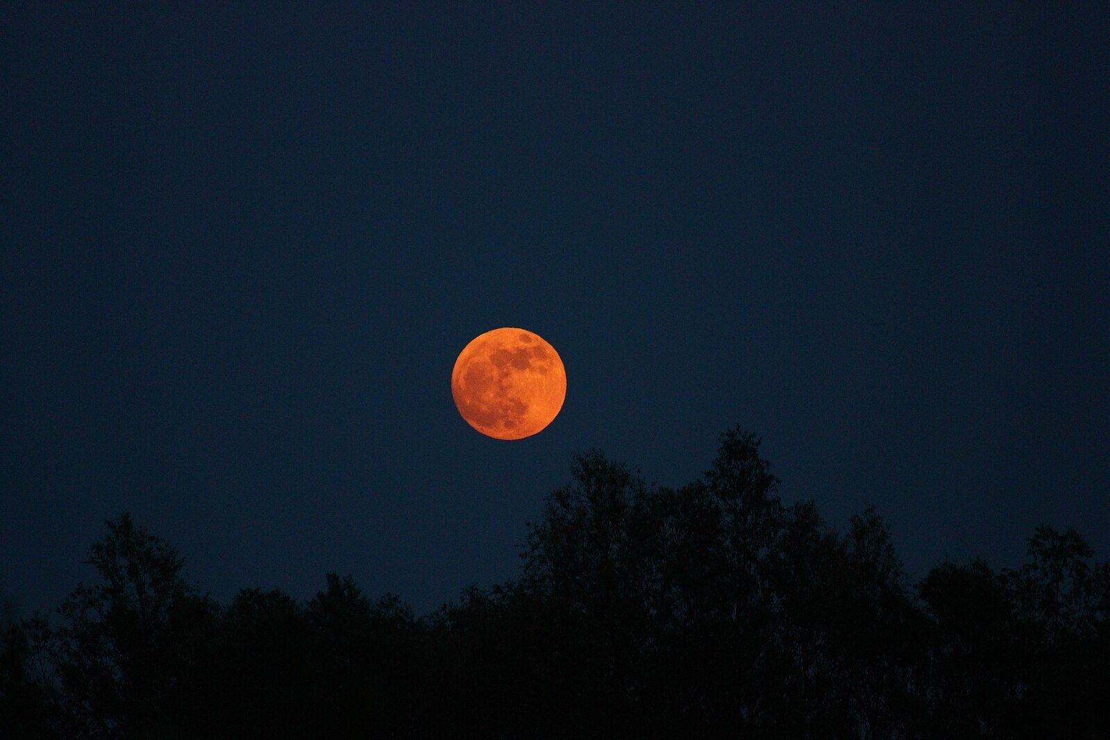 Look up! An unusually high full moon will shine above Melbourne this week