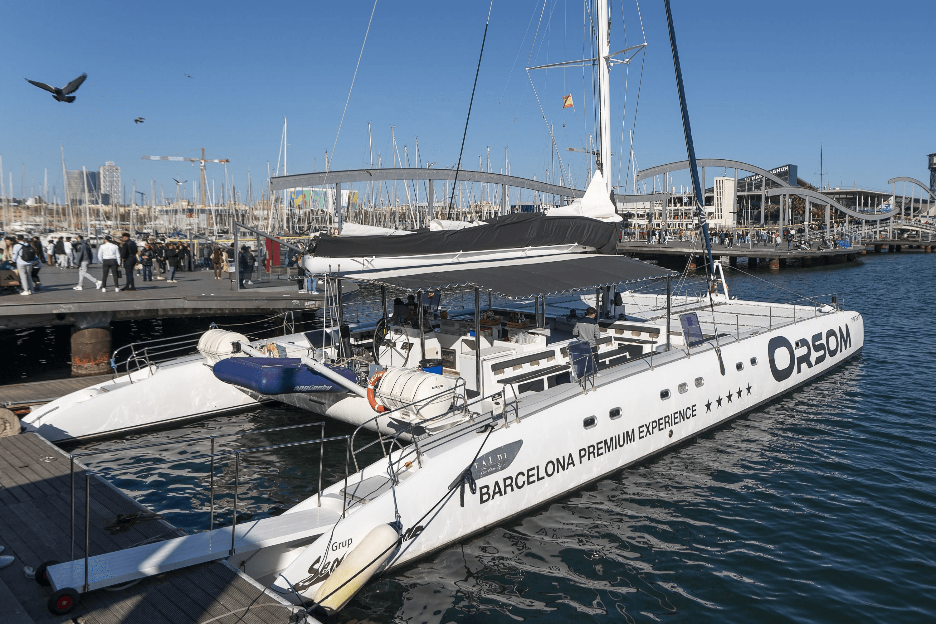 Sunday at sea! Catamaran trip and Michelin-starred lunch at Time Out Market