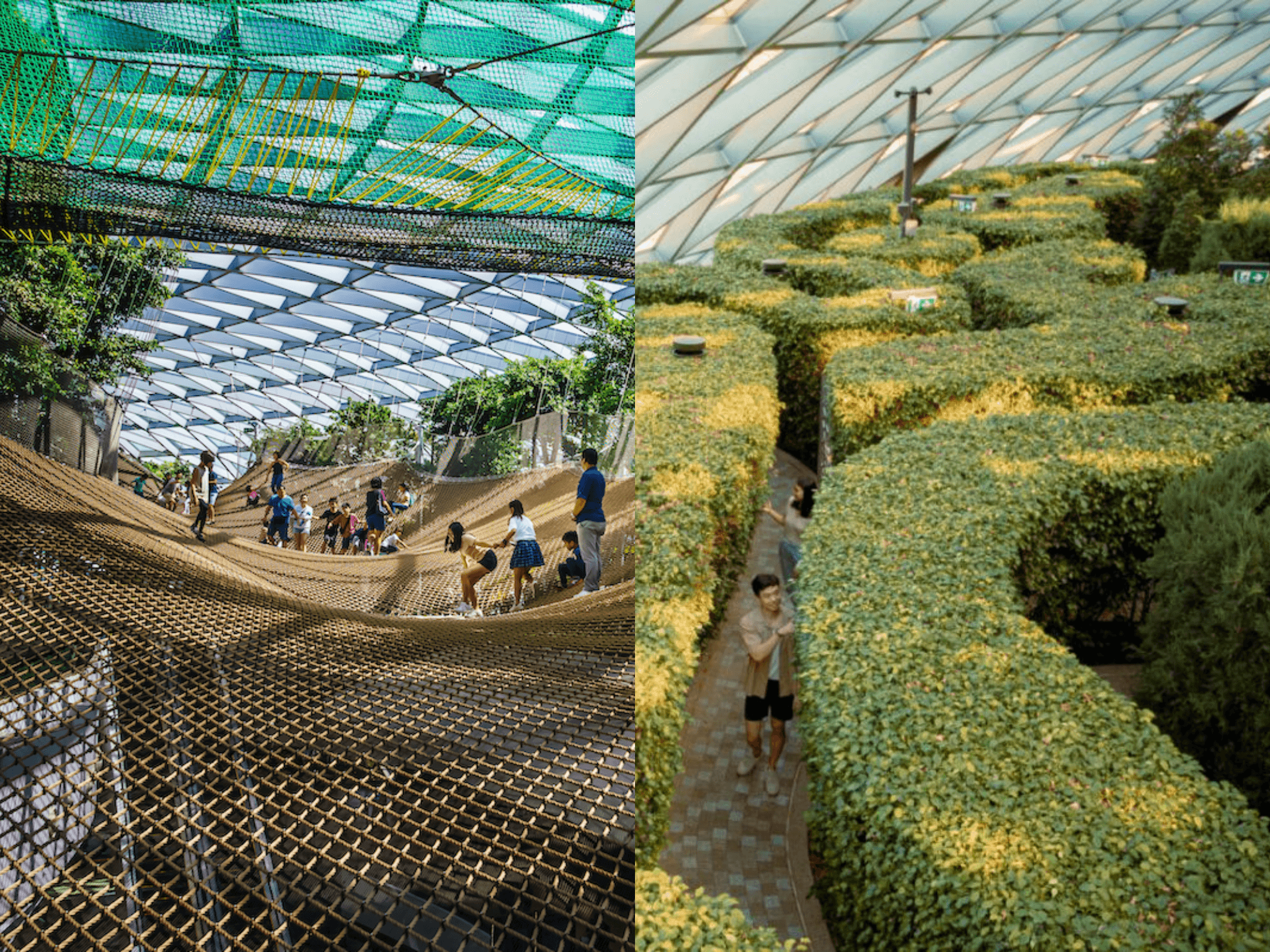 The ultimate guide to Canopy Park at Jewel Changi Airport